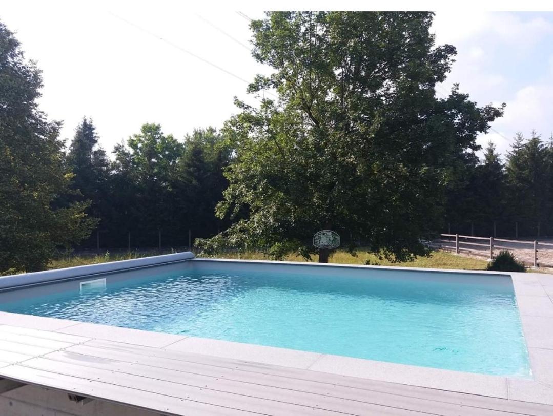 Repos Rouge-Plaisir Au Milieu Des Chevaux Apartment Kembs Luaran gambar