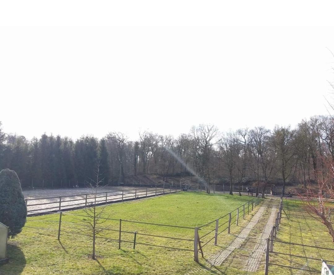 Repos Rouge-Plaisir Au Milieu Des Chevaux Apartment Kembs Luaran gambar