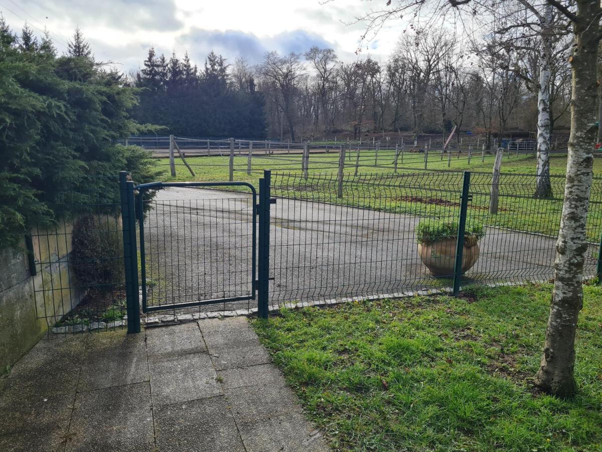 Repos Rouge-Plaisir Au Milieu Des Chevaux Apartment Kembs Luaran gambar