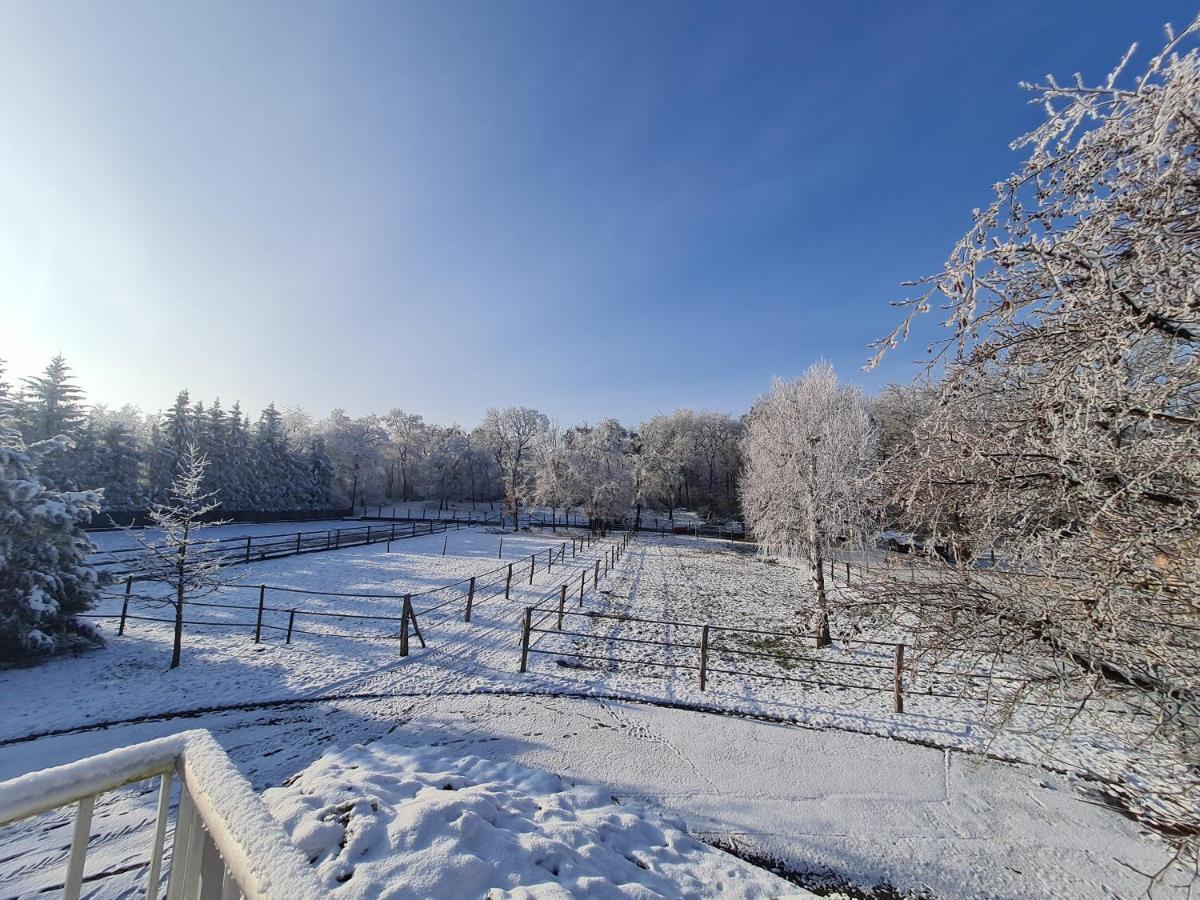 Repos Rouge-Plaisir Au Milieu Des Chevaux Apartment Kembs Luaran gambar
