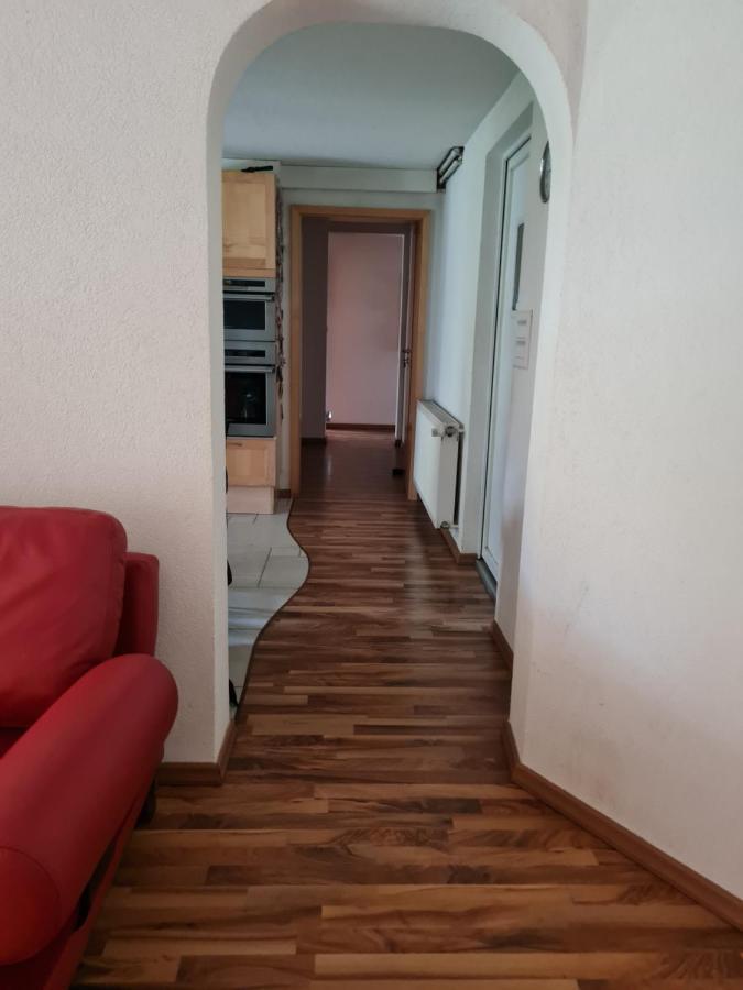Repos Rouge-Plaisir Au Milieu Des Chevaux Apartment Kembs Luaran gambar